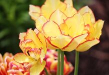 Jak zmienił się świat w ciągu 10 lat? Jak zmienił się świat w ciągu 10 lat?